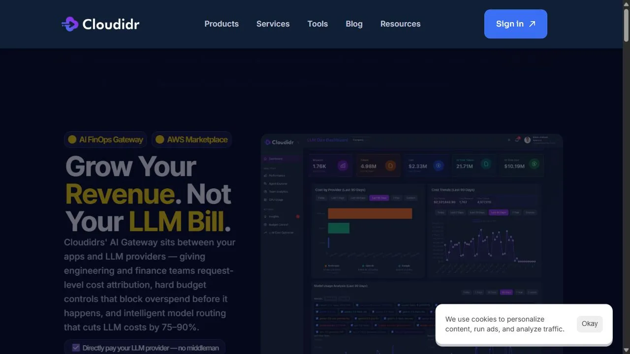 Cloudir | LLM Ops 1