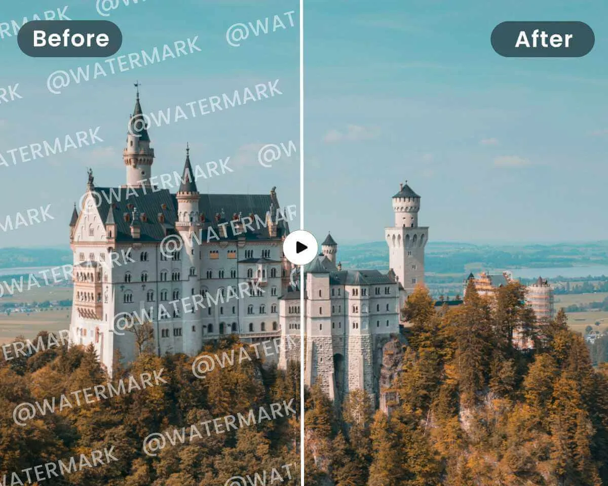 Fotor | AI Video Objects Remover 3