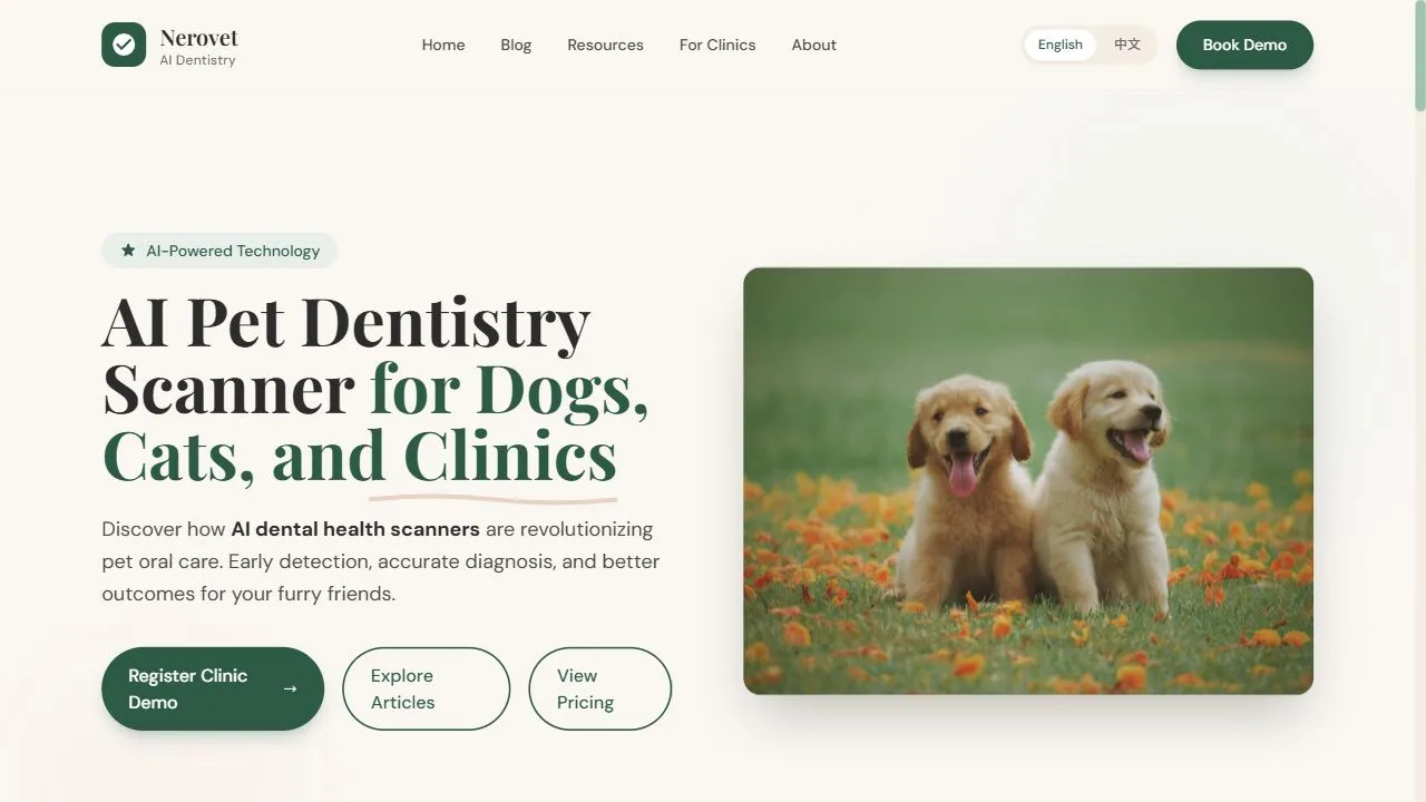 Nerovet AI Dentistry 1