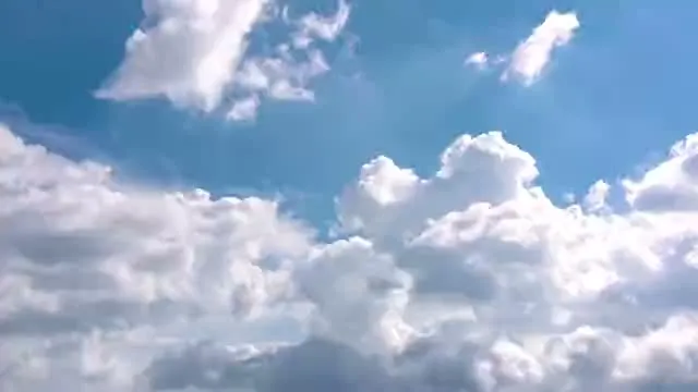 Skiv 5