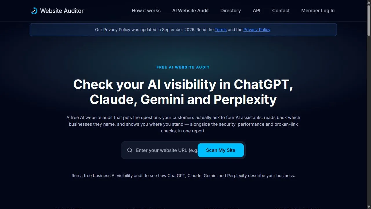 Website Auditor.io 1